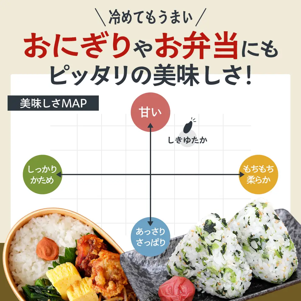 【令和8年産 先行受付】しきゆたか 白米 10kg《2027年2月発送》