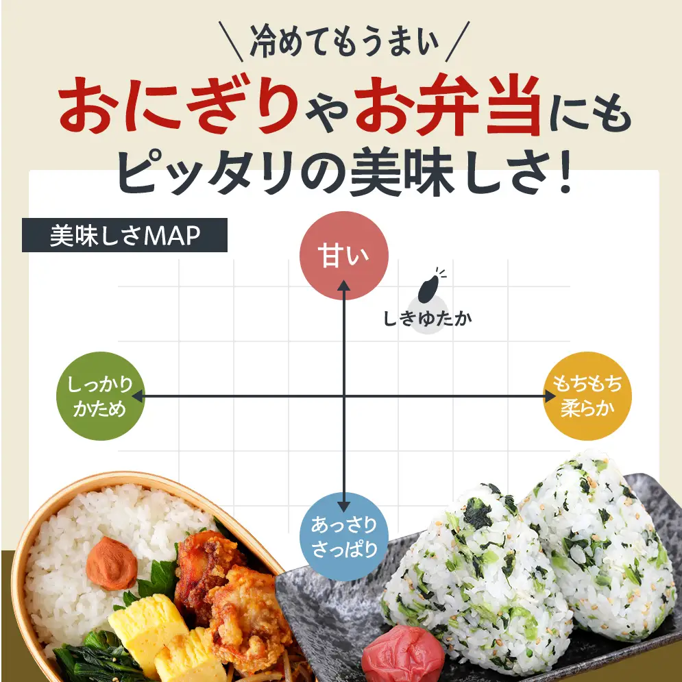 【令和8年産 先行受付】しきゆたか 白米 10kg《2027年3月発送》