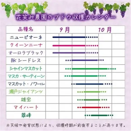 岡山　花笑み農園の『瀬戸ジャイアンツ』1kg(2房)　G-1【配送不可地域：離島】【1693701】