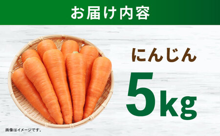 ニンジン 5kg / にんじん ニンジン 人参 野菜 やさい / 諫早市 /スマイルファーム[AHFG013]