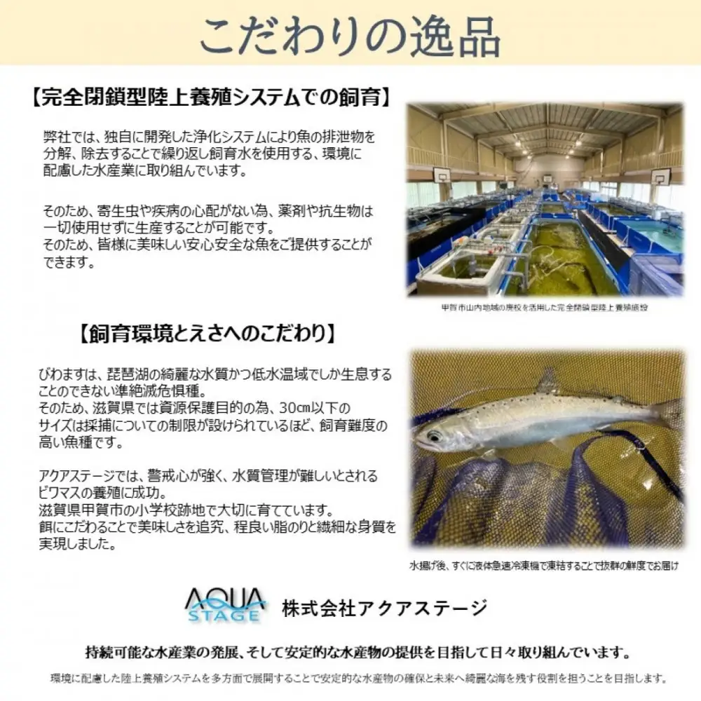 甲賀びわます “ささゆり”　 天ぷらサイズ 5尾入り×4パック
