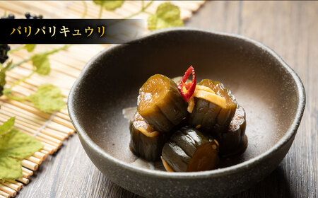 【2ヶ月定期便】なごみやお試しセット 5種 合計620g セット ピクルス きゅうり 椎茸 芽キャベツ 牛蒡 ゴボウ 漬物 漬け物 詰合せ 詰め合わせ 野菜 野菜漬け 茨城県 守谷市 送料無料