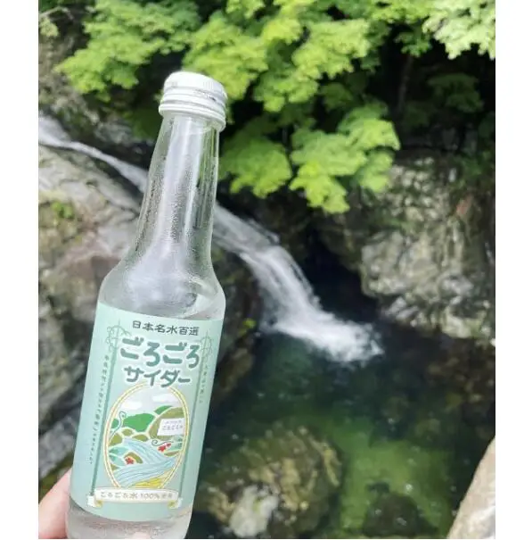 ごろごろサイダー 250ml×1箱（24本入） サイダー 【ftu01】