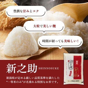 【9月上旬配送】上越市産 新潟 新之助 2kg しんのすけ お米 精米 米 ご飯 大黒屋商店