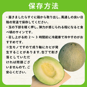 タカミメロン 家庭用 約5. 5kg 青肉 訳あり メロン