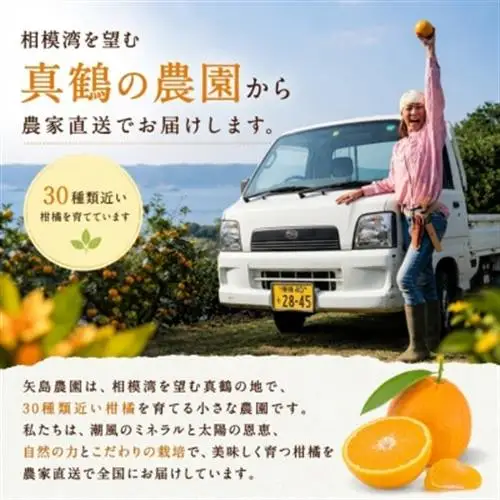 【矢島みかん農園】手剥きみかん丸ごと100%ジュース720ml2本|みかん農園直送～自然なままの味【1695140】
