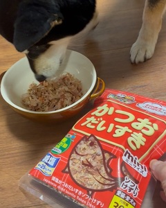 ペットフード マルトモ 減塩かつおだいすきソフトミニ30g×15個セット おやつ ふりかけ かつお 鰹 ソフト 減塩 犬 猫 国産 国内加工 保存料 着色料 不使用 伊予市｜C155