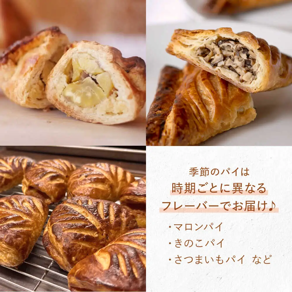 アップルパイと季節のパイ2種 計6個 / hokimoto[AWCF002] アップルパイ