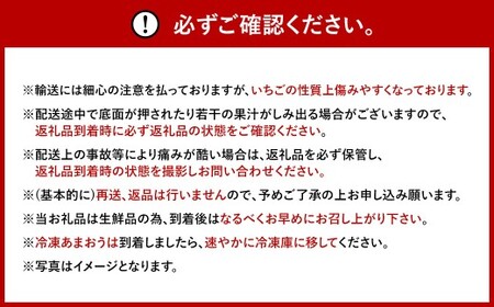 【12ヶ月定期便】 【いちごの年間定期便】 福岡県産あまおう （フレッシュあまおう・冷凍あまおう） いちご イチゴ 冷凍いちご あまおう  冷凍あまおう 果物 くだもの 国産 福岡県産 定期便 冷蔵 冷凍 