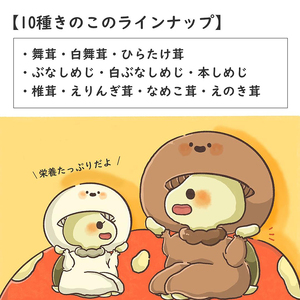 すっぽんスープすっぽんキノコスープ国産すっぽんスープ【3個】