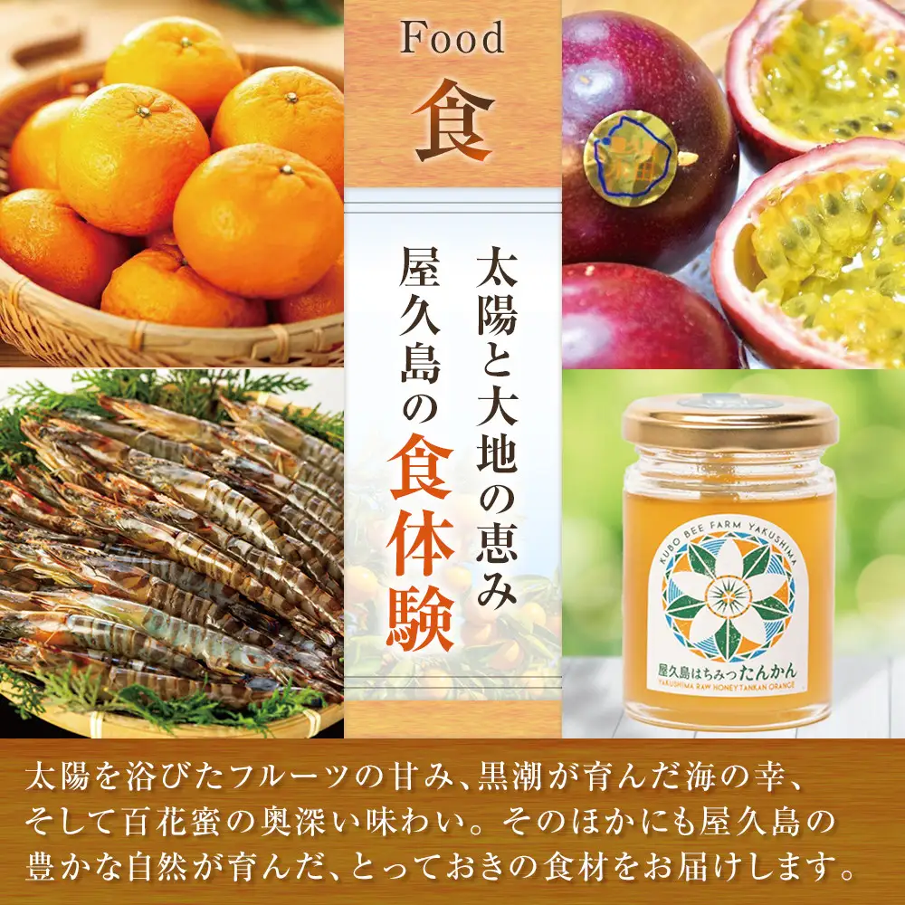屋久島限定三岳900ml×12本セット