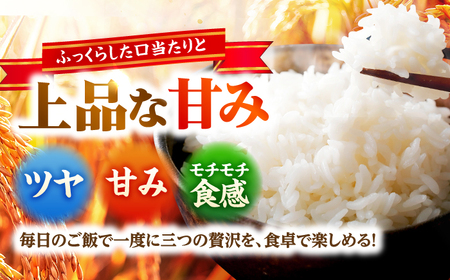 福井県産 いちほまれ 2kg×3袋 合計6kg 福井県 ブランド米 / 白米 精米 甘みとつや 小浜市 / シマダ農園[BFAV014]