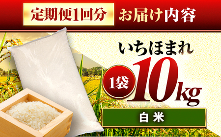 【2回定期便】お米 福井県産いちほまれ お米 10kg 小浜市 梅田東米穀店[BFEK032]