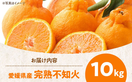 不知火 完熟不知火 10kg 【2月下旬から順次発送】[AGAW004]