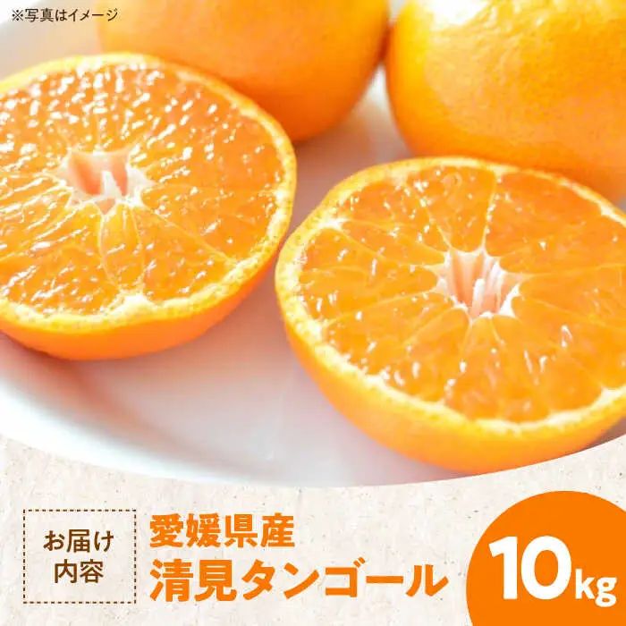 きよみタンゴール 10kg きよみ【3月下旬から順次発送】[AGAW006]