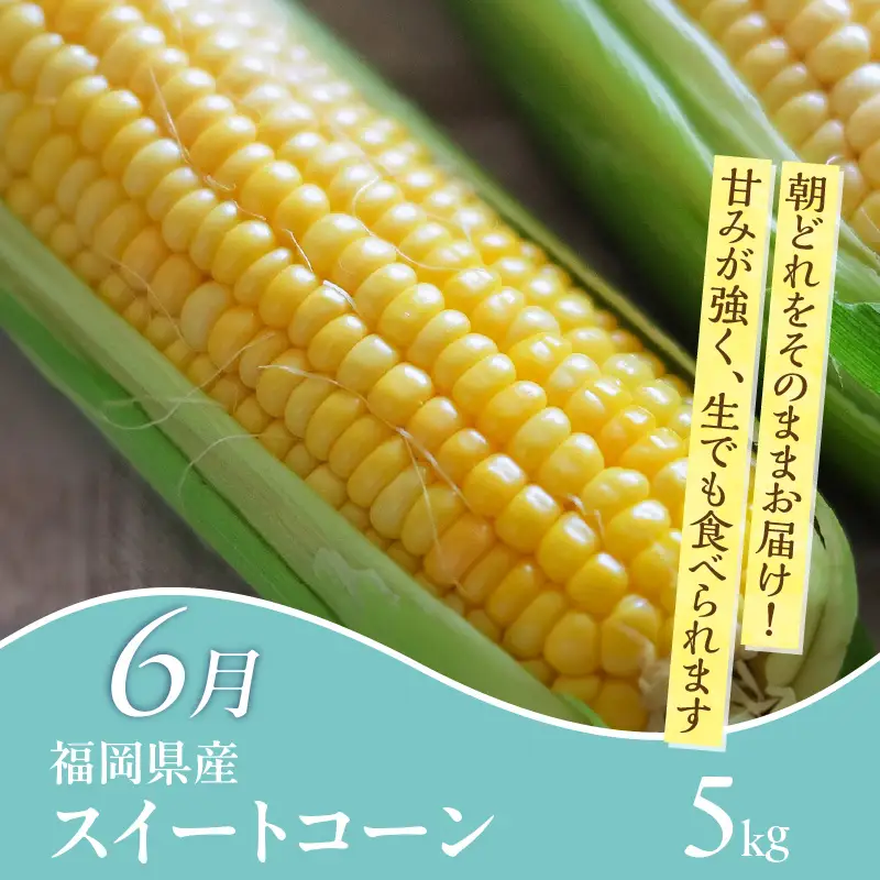 【定期便 6回】旬を味わう定期便 _ 定期便 6回 隔月 お届け しゃぶはり鍋 セット 特選 あまおう 食べ比べ シャインマスカット 梨 しゃぶしゃぶ 豚肉 黒豚 豚ロース 豚バラ 水菜 鍋 鶏肉 水炊き グルメ おかず フルーツ デザート 旬 贈答用 ご褒美 お取り寄せ 福岡県 久留米市 送料無料  〔Tk124〕