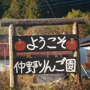 【先行予約】仲野りんご園の奥久慈りんご「サンふじ」約3kg（9～12玉）｜茨城県 大子町 樹上完熟 林檎 アップル 果物 フルーツ 旬 秋 味覚 ギフト 贈答（DF001）