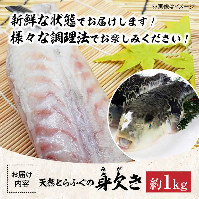 とらふぐ 身欠き（1kg） とらふぐ[AGBP003]