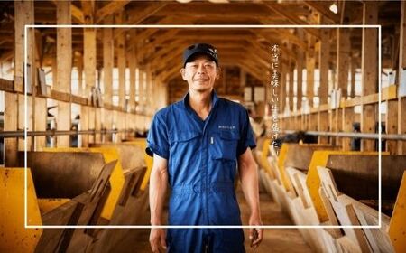 数量限定 隠岐牛 牛すじボイル 400g×2パック 牛すじ