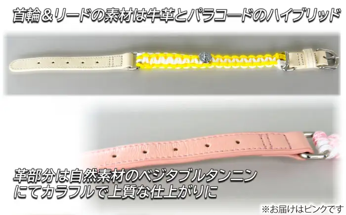 ペット 犬の首輪＆リードセット ピンク L ペット BLBX003