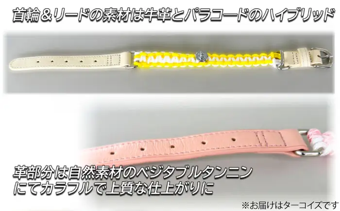 ペット 犬の首輪＆リードセット ターコイズ L ペット BLBX007
