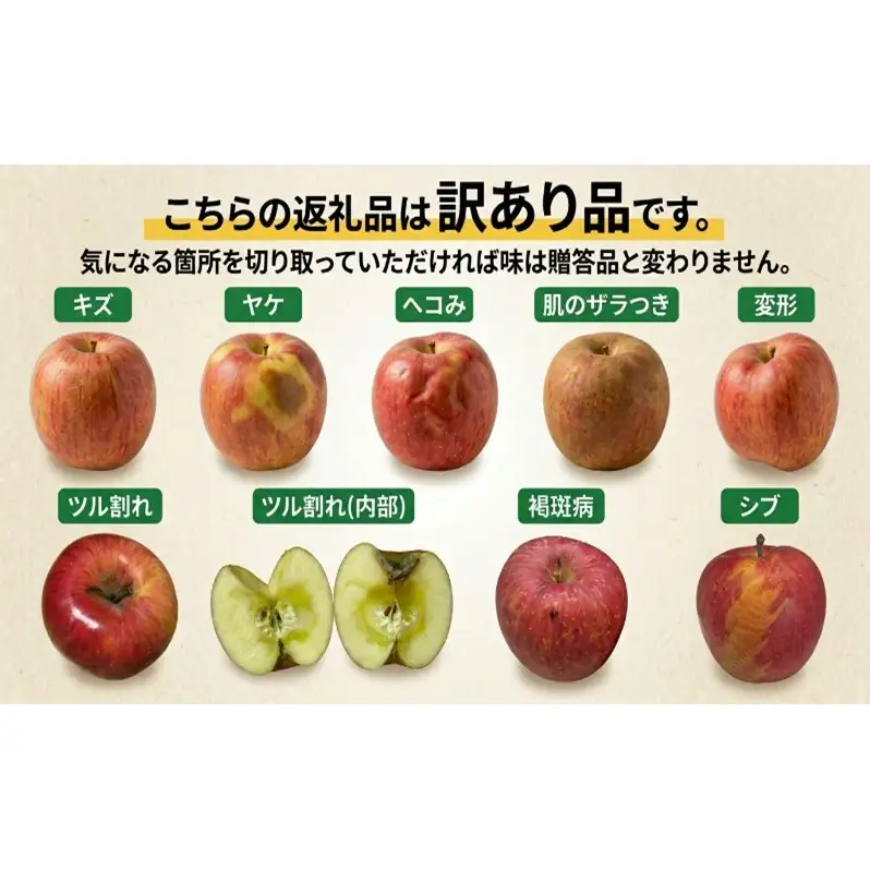 【1月発送】白熊 訳あり家庭用 サンふじ 約5kg 糖度13度【青森りんご 果物 フルーツ 食後 デザート シャキシャキ ジューシー りんごの王様 】