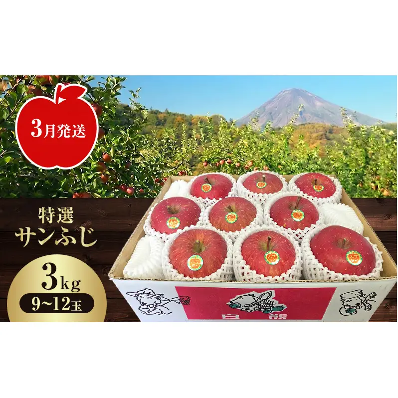 【クール便】3月発送 白熊 特選 サンふじ 絆 約3kg 糖度13度【青森りんご 果物 フルーツ 食後 デザート シャキシャキ ジューシー りんごの王様 】