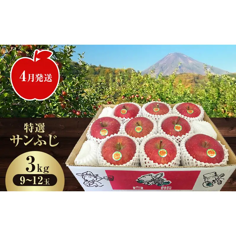 【クール便】4月発送 白熊 特選 サンふじ 絆 約3kg 糖度13度【青森りんご・ 果物 フルーツ 食後 デザート シャキシャキ ジューシー りんごの王様 】