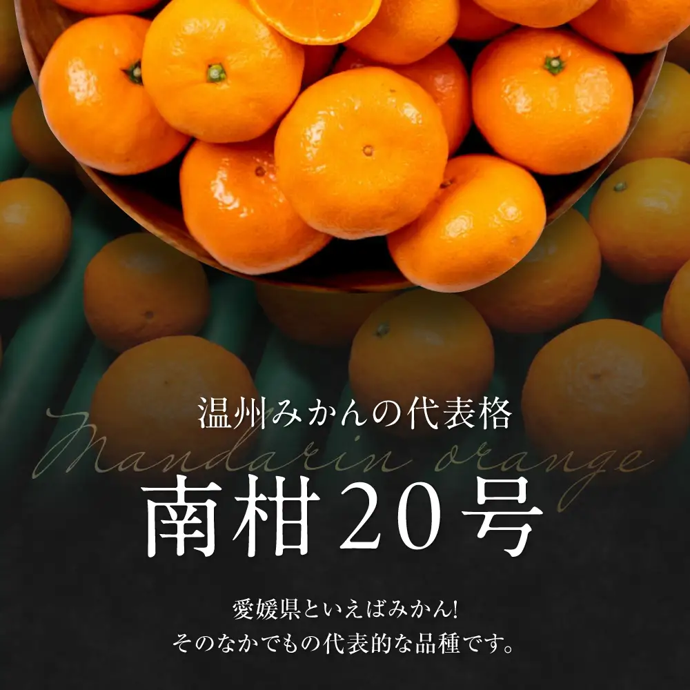みかん 10kg（南柑20号）みかん[AGAO007] | 愛媛県大洲市 | ふるさと