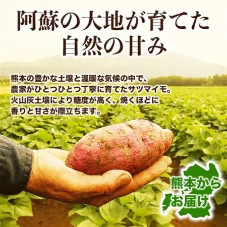 シルクスイート さつまいも 約5kg(益城町)【1689373】