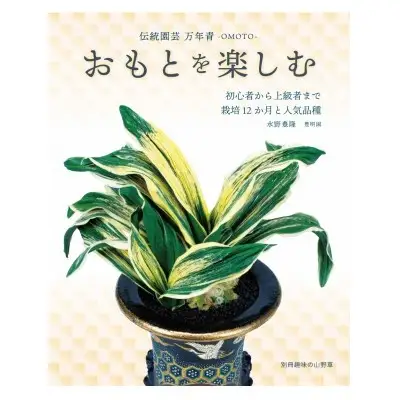 体験 観葉植物 おもと講座と植え替え体験 徳川家康公の運気を上げた縁起物 万年青付き