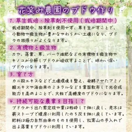 岡山　花笑み農園の『10月おすすめ3種』家庭用　1.8kg (3房) 3M-2L家【配送不可地域：離島】【1695419】