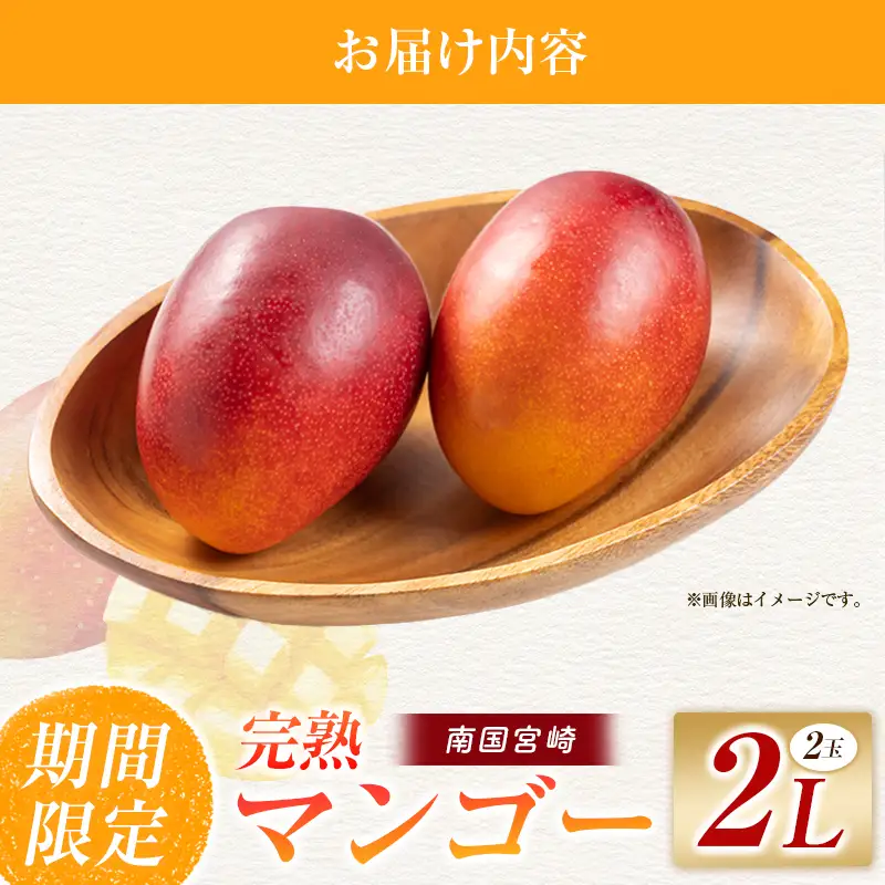 【令和9年発送 先行予約】完熟マンゴー 2L×2玉 マンゴー 