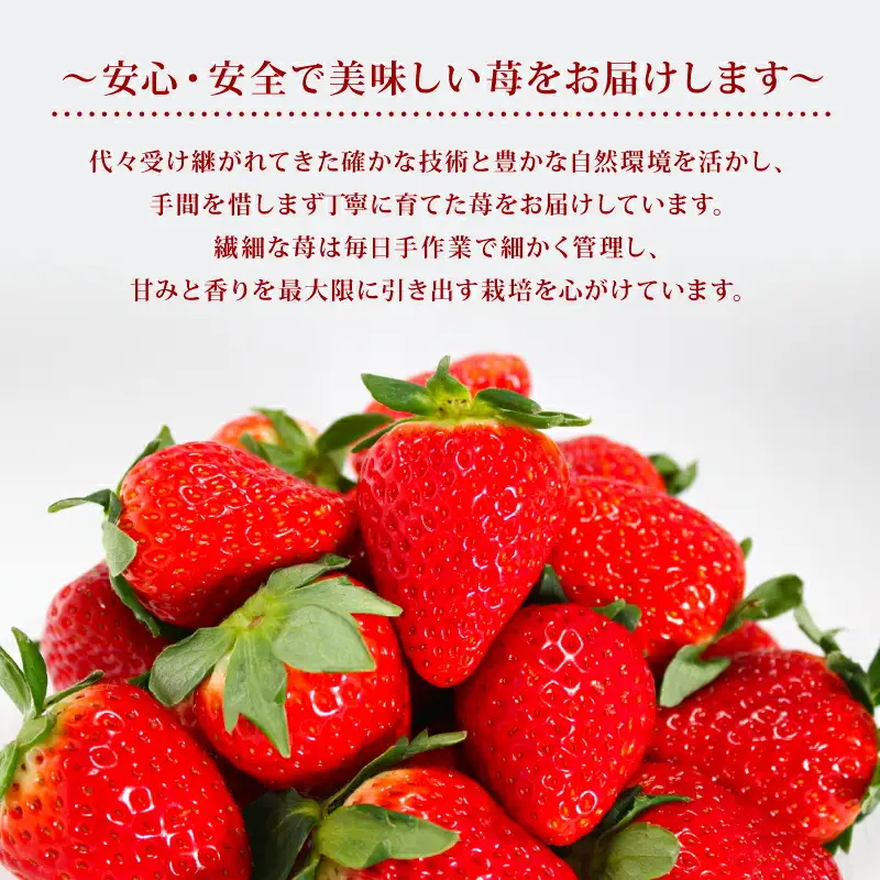 【2027年1月～発送予定】いちご 奈乃華と古都華のセットいちご 約270g×2パック