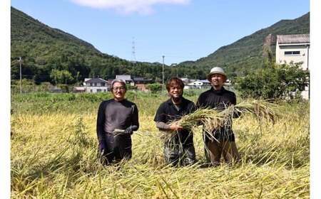【令和7年産丹波篠山産】コシヒカリ 玄米 5kg こしひかり [DP07]