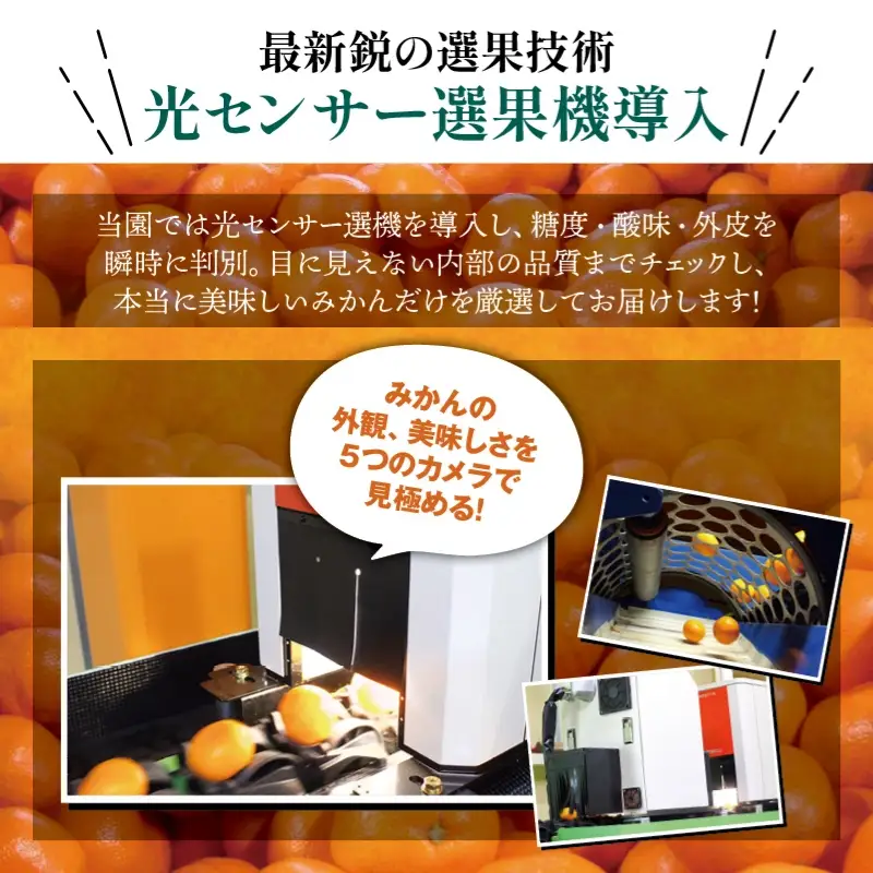 【訳あり】有田みかん 4kg 光センサー選別 みかん【nuk004-c-4-janH】
