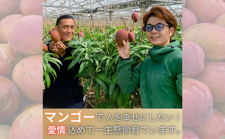 2026年7月発送　先行予約　アーウィン　冷凍カットマンゴー500g（250g×2袋） 沖縄県 名護市 マンゴー アーウィン 冷凍 フルーツ デザート スイーツ 国産フルーツ 果物 大自然 南国気分 先行予約 甘い トロピカル 産地直送 人気 贈り物 おすすめ お取り寄せ