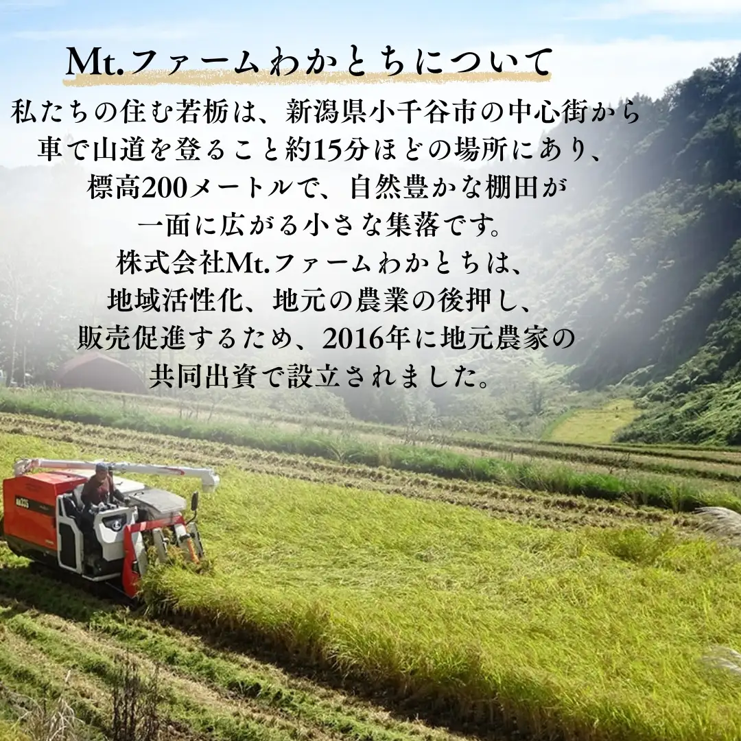 杵つき手のし餅「わかとちのもち」食べ比べ 白もち＆黒米もち 500g×2個 Mt.ファームわかとち | 新潟県 小千谷市 お正月