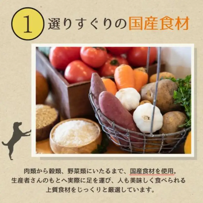 【定期便12か月】愛犬ごはん【ひとつごはん】しかぽてと500g 250g×2 無添加 鹿肉 厳選素材 ドッグフード