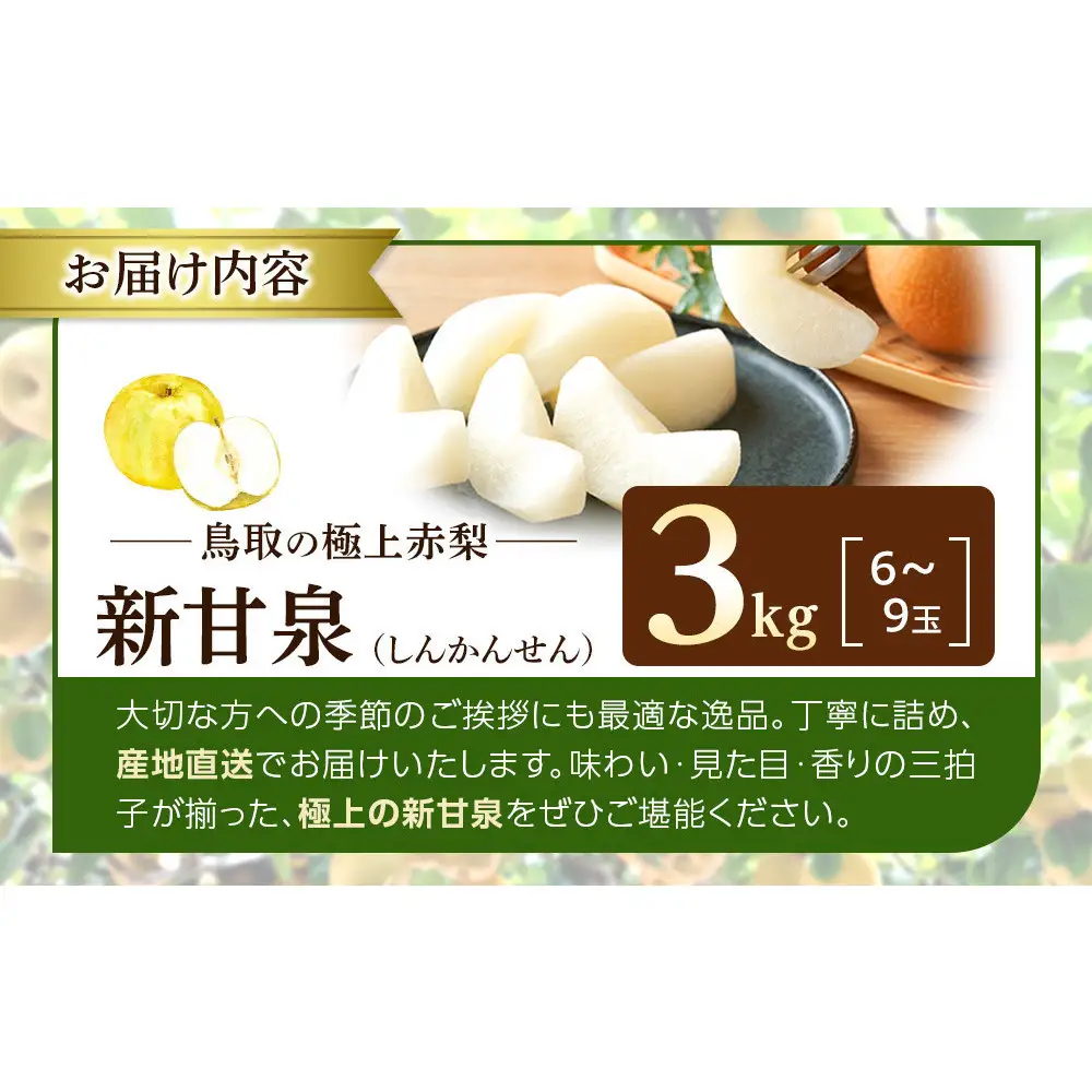 【ふるなびWEEK対象】新甘泉 3kg 先行予約 数量限定 梨