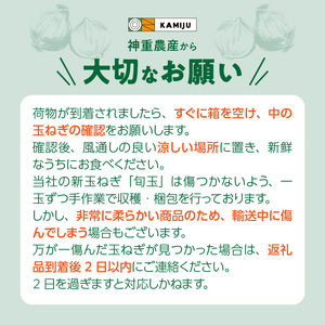 【5/31まで受付】(2027年発送) ≪『満天☆青空レストラン』で紹介されました！≫【お試し】新玉ねぎ 生がおいしい 神重農産のブランド玉ねぎ「旬玉」3kg ブランド玉ねぎ 玉ねぎ 国産 愛知県産 野菜 やさい 農家直送 畑直送 旬 期間限定 たまねぎ 旬 特産 高評価 高リピート 人気 H105-218