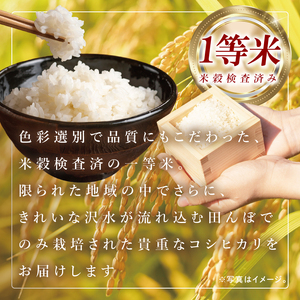 令和8年産米筑波山麓・羽鳥の沢水米 コシヒカリ 精米 10kg【茨城県共通返礼品：桜川市】|お米 米 こしひかり 茨城県 取手市（CA002）