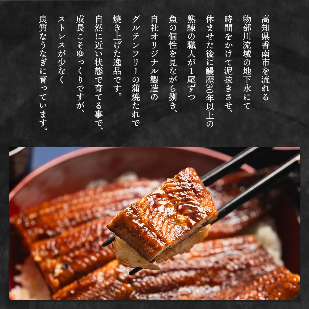 高知県産うなぎ 約１４０ｇ ４尾 計約５６０ｇ 国産 ウナギ fb-0146