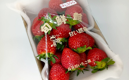 【先行予約】完熟いちご ほしうらら 約600g いちご イチゴ 苺 デザート フルーツ 果物 くだもの 果実 食品 F21C-298
