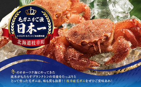 オホーツク産 冷凍ボイル毛ガニ 約360g×3尾 毛がに