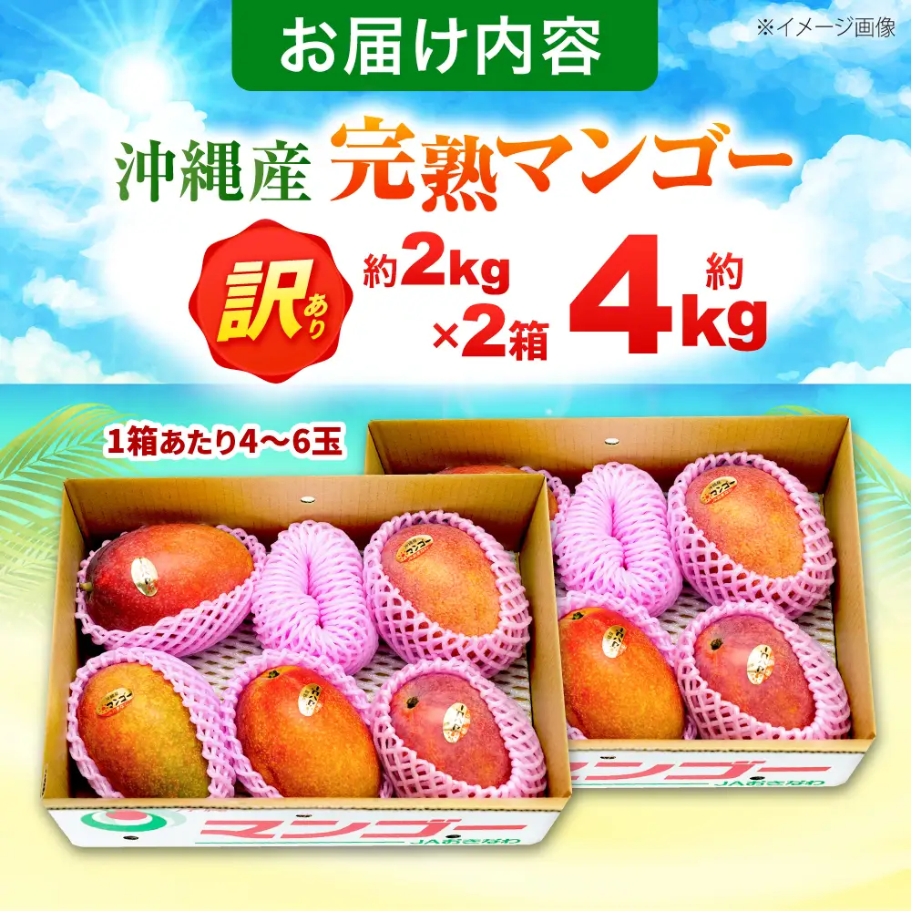 マンゴー 【2027年発送】訳ありマンゴー 沖縄 約4kg BCAA007