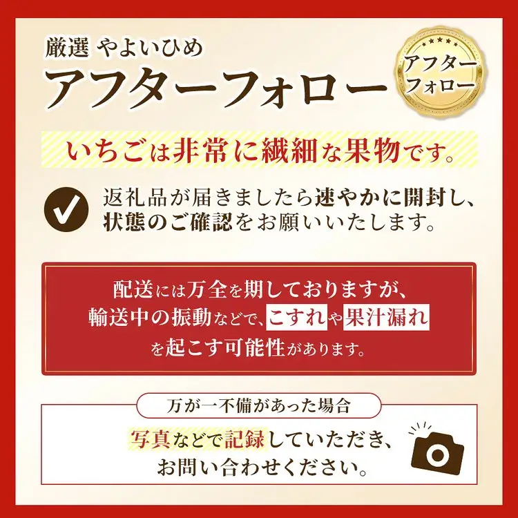 厳選 やよいひめ プレミアムギフトBOX 1箱 （3～4月発送） | いちご 大粒 高糖度 果物 フルーツ 苺 イチゴ くだもの 新鮮 朝採れ 朝どれ ギフト プレゼント 贈り物 国産 群馬県 伊勢崎市 ※2027年3月～発送