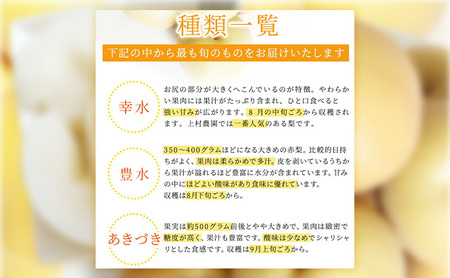 浜松市産 梨 約2.5kg 5～8玉入り なし フルーツ 果物 静岡 浜松市【配送不可：離島】