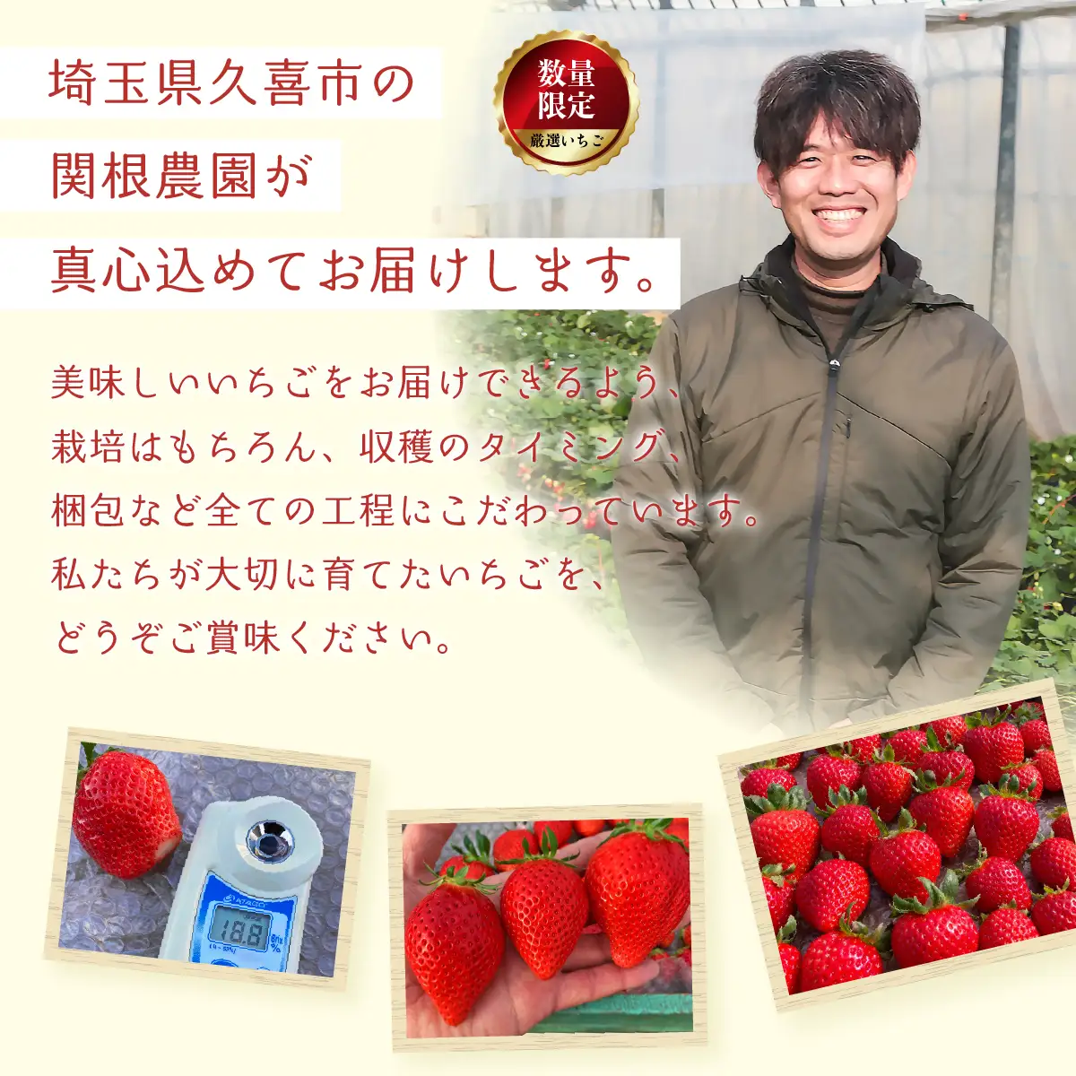 いちご やよいひめ 260g×4P やよいひめ 埼玉県 久喜市