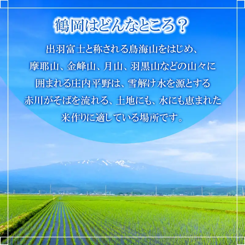 【令和8年産先行予約】特別栽培米つや姫 無洗米 5kg (5kg×1袋)×12ヶ月【定期便】　鶴岡協同ファーム 